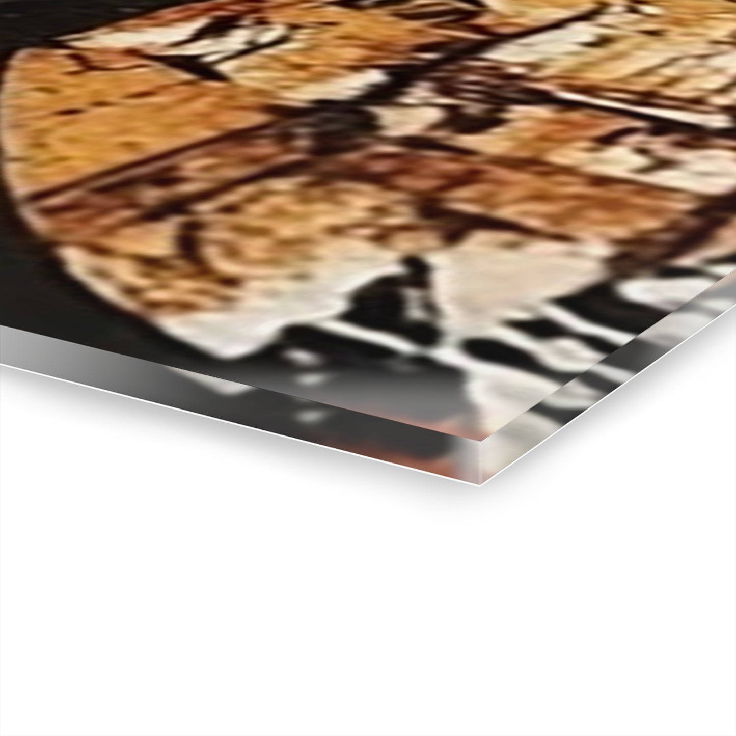 Palmyra - Modern Acrylic Art Print with French Cleat Hanging