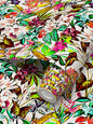 Wall Paper