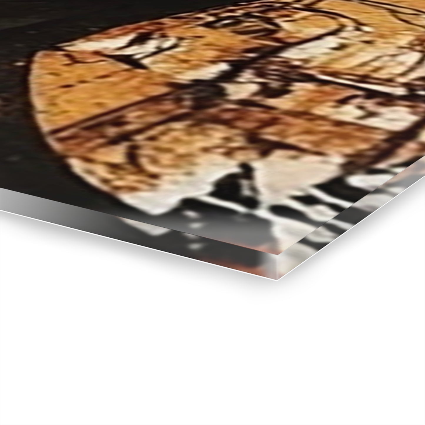 Palmyra - Modern Acrylic Art Print with French Cleat Hanging