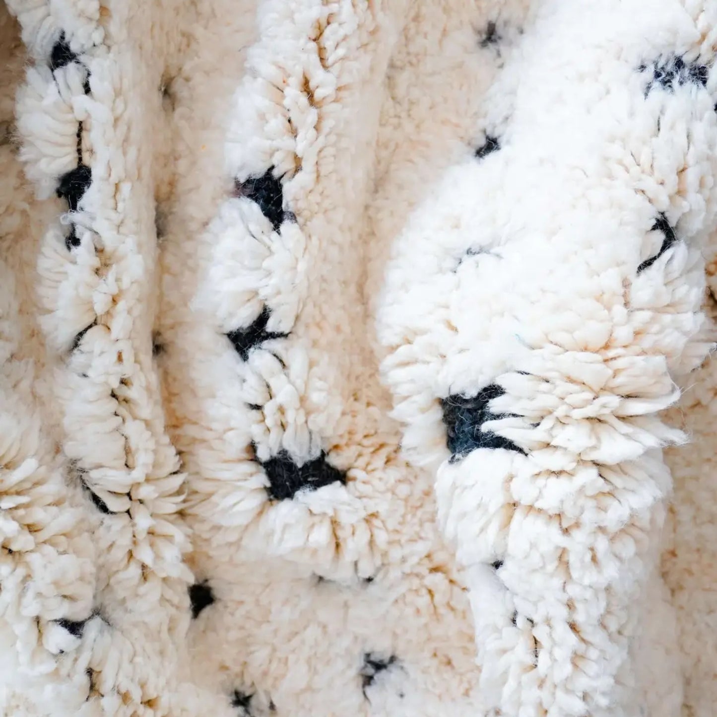 Black and white checkered Morroccan Rug